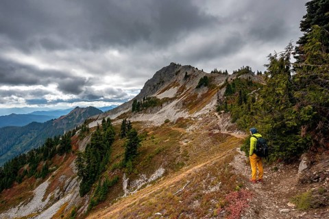 Hikers on a trail