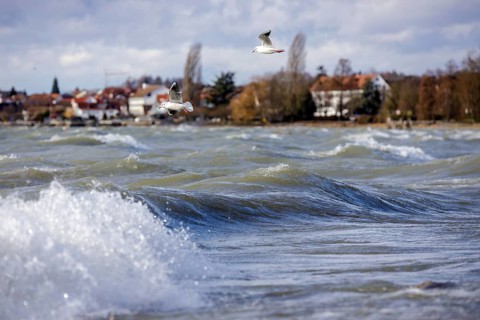 Storm Lolita whips waves against the stony shore in the background Hagnau