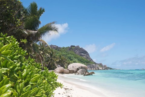 Anse Source dArgent Beach