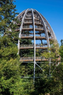 Treetop path