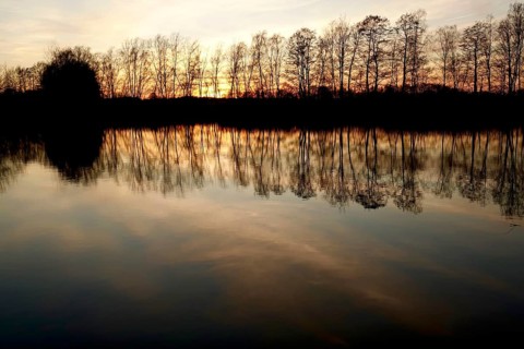 Evening mood at the lake