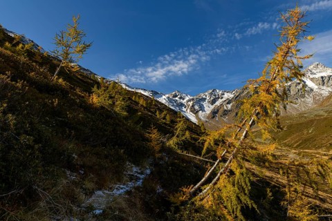 Autumn valley with stream and larches