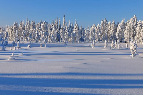 Snow covered landscape in winter