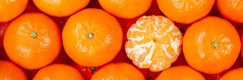 Tangerine Clementine Fruit Tangerine Clementine Fruit from above Panorama