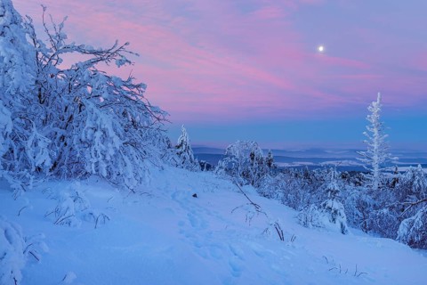 Snow Covered Winter Landscape at Dawn. Grosser Feldberg