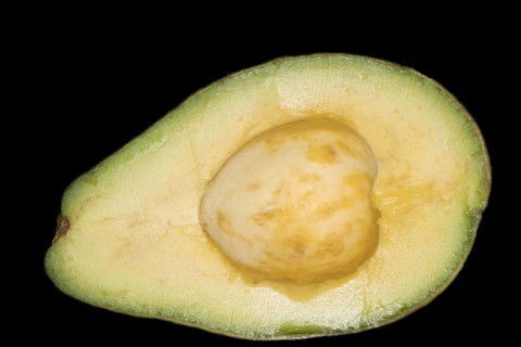 Halved avocado