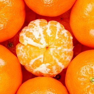 Tangerine Clementine Fruit Tangerine Clementine Fruit from above square