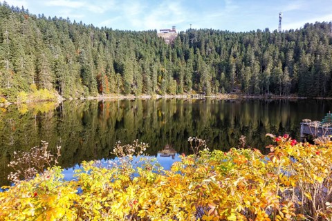 Mummelsee and mountain Hornisgrinde in Black Forest landscape nature in autumn in Seebach