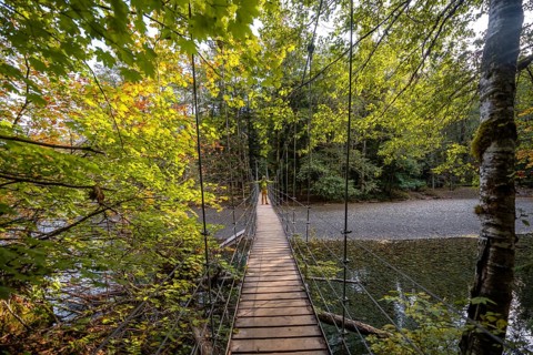 Hikers on suspension bridge in autumnal forest