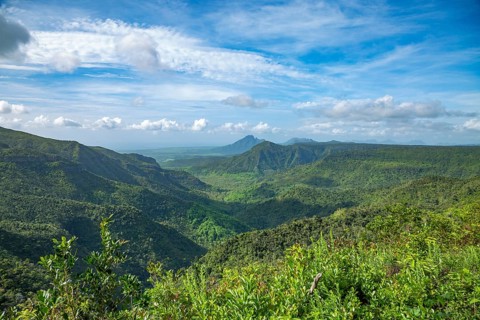 Black River Gorges National Park