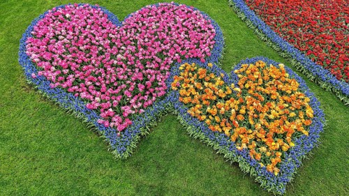 Two hearts