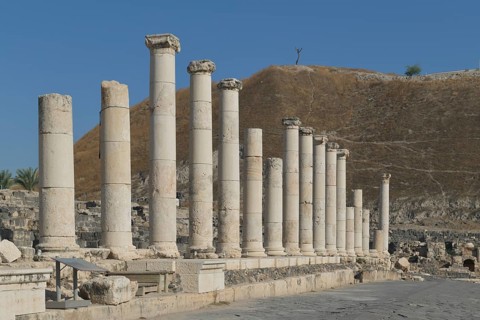 Palladius Street