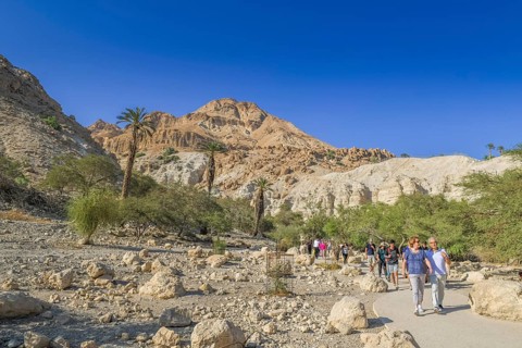 Hikers in Wadi David