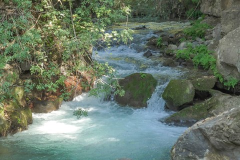 Bach Hermon with Banias Fall
