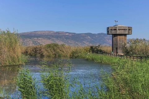 Observation tower