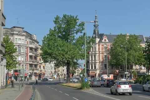Kaisereiche