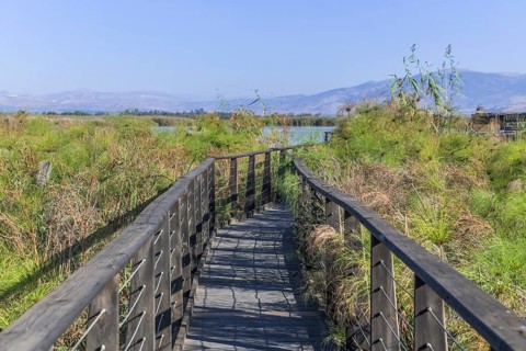 Boardwalks for bird watching