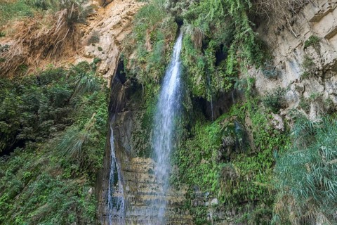 David's Waterfall