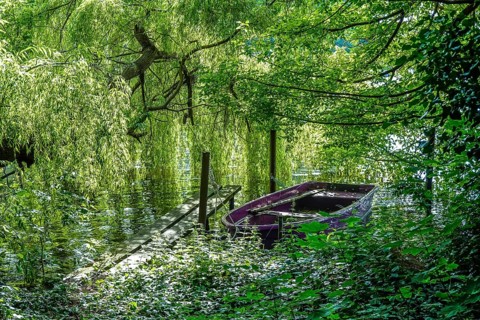 Havelinsel Maienwerder