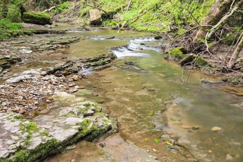 Hiking trail over shell limestone banks on the Gauchach