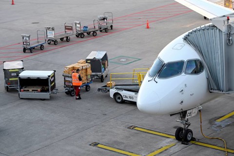 Cargo Baggage Ground Staff