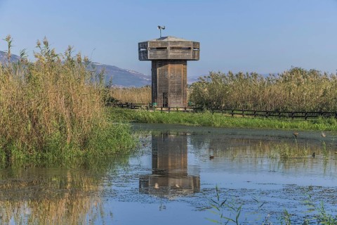 Observation tower