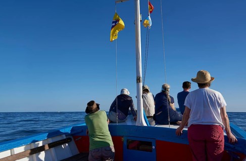 Tourist Boat Tour for Whale Watching