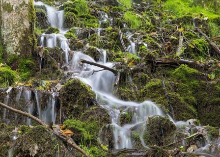 Small waterfalls on a wooded slope of the Wutach near the Schattenmuehle