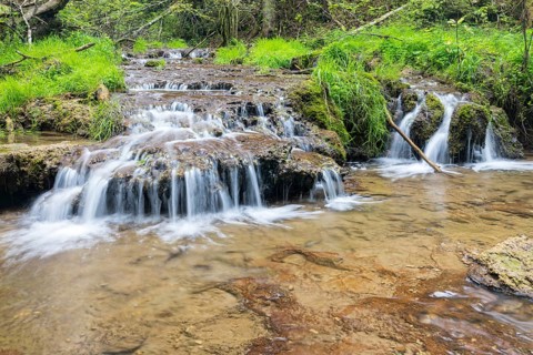 Small waterfall over shell limestone banks at the inflow of the Balgenbaechle into the Gauchach