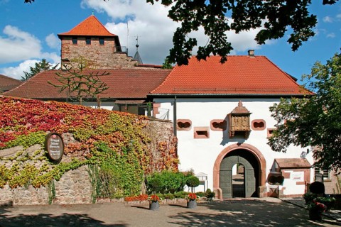 Schloss Eberstein Winery