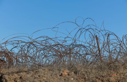 Barbed wire