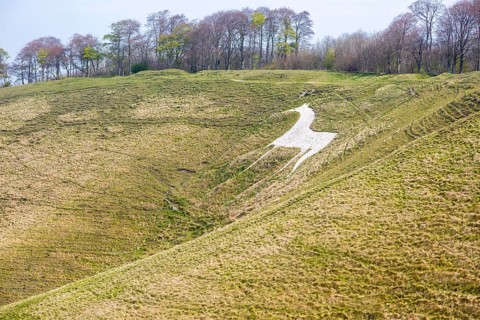 Chalk scarp slope with white horse figure