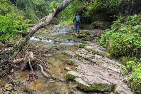 Hikers on the trail over shell limestone banks on the Gauchach