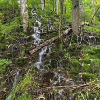 Small waterfalls on a wooded slope of the Wutach near the Schattenmuehle