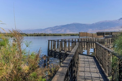 Boardwalks for bird watching