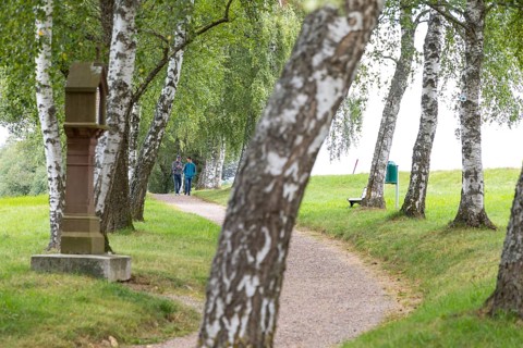 Birch avenue as a crossroads in Loeffingen
