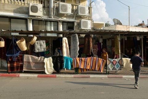 Shop with skins and blankets