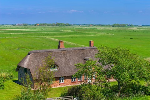 House with thatched roof in the Eiderstedter Marsch