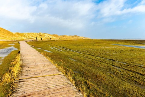 Boardwalk to Amrum Odde
