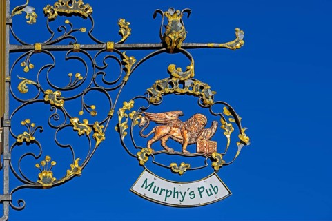 Nose shield with winged lion