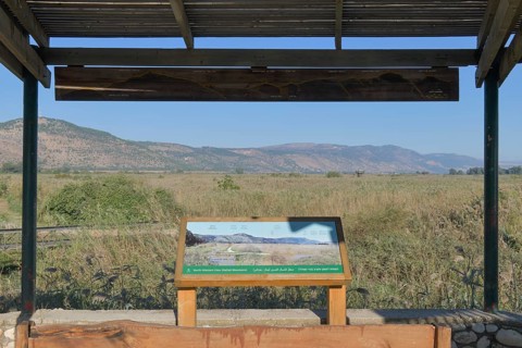 Observation tower