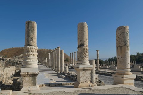 Palladius Street