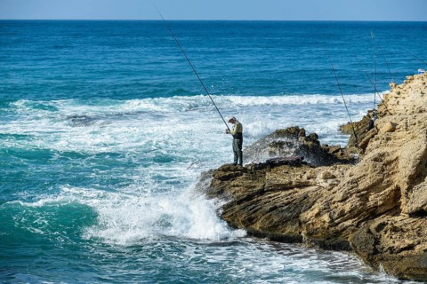 Angler