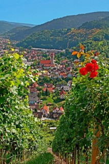 View of Obertsrot and the Sacred Heart Church from the Eberstein Castle Winery
