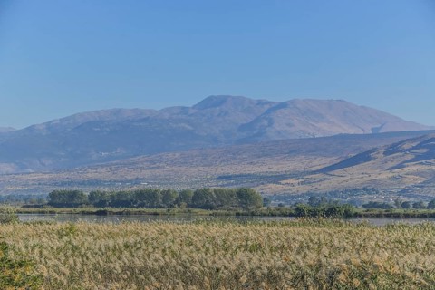 Marshes