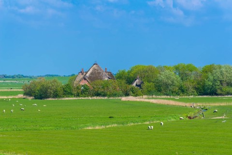 Wind-protected Haubarg