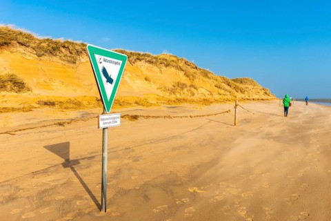 Amrum Odde nature reserve