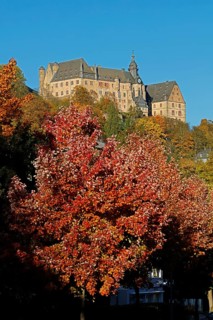 Marburg Castle in autumn