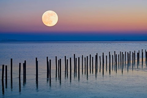 Moonrise in wintry landscape on the shore of Lake Duemmer