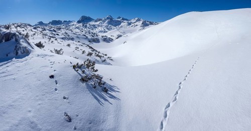 Winter landscape in the snowy Alps